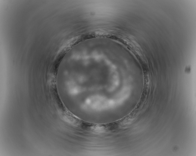 X0000091450419200709061739