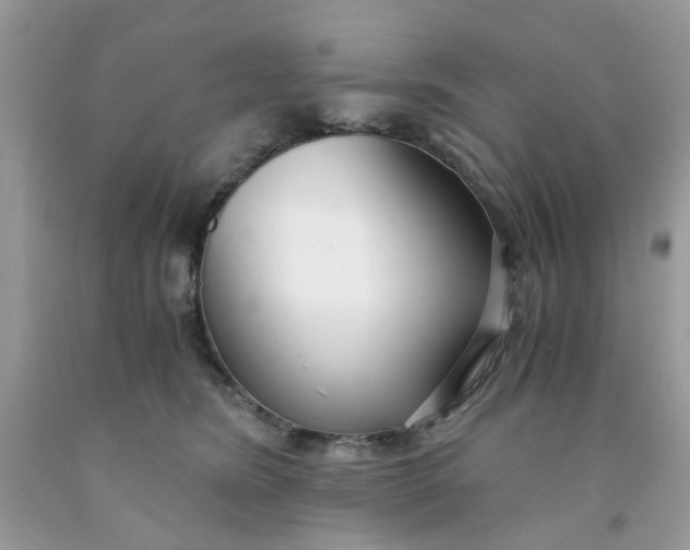 X0000091450420200709061739