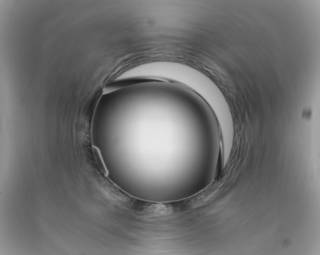 X0000091450421200709061739