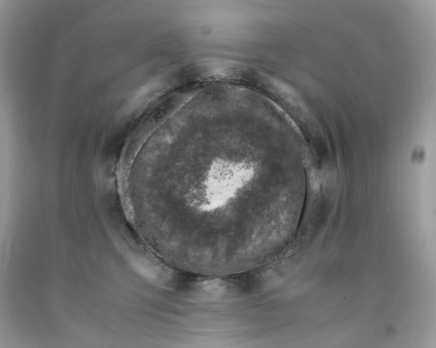 X0000091450423200709061739