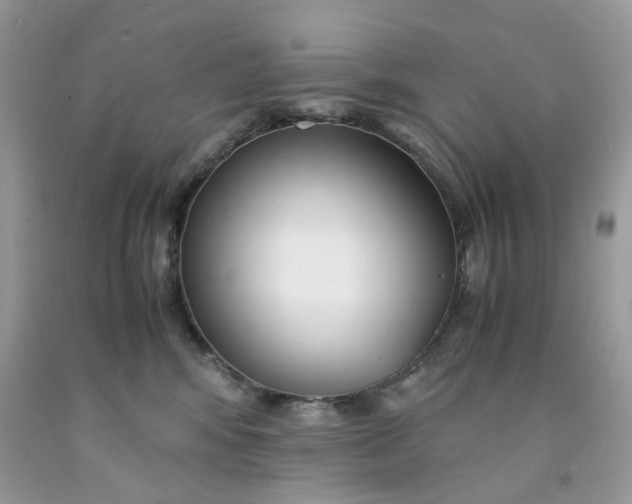 X0000091450424200709061739