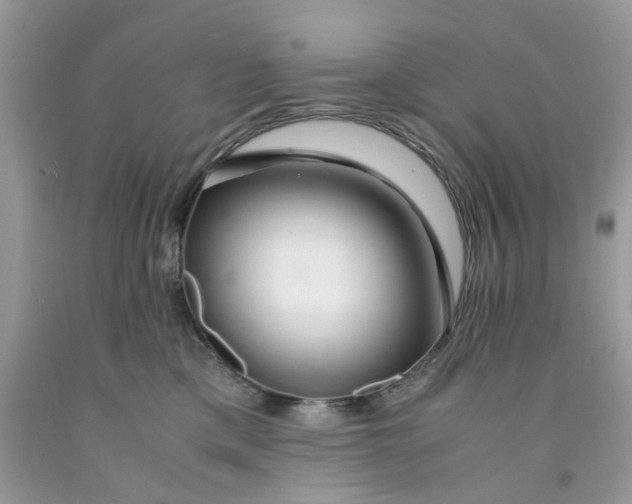 X0000091450425200709061739