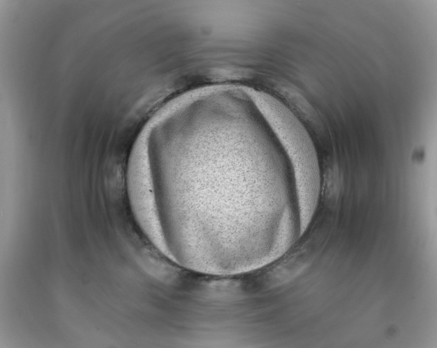 X0000091450426200709061739