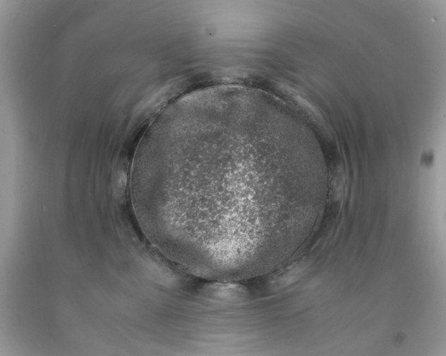 X0000091450427200709061739