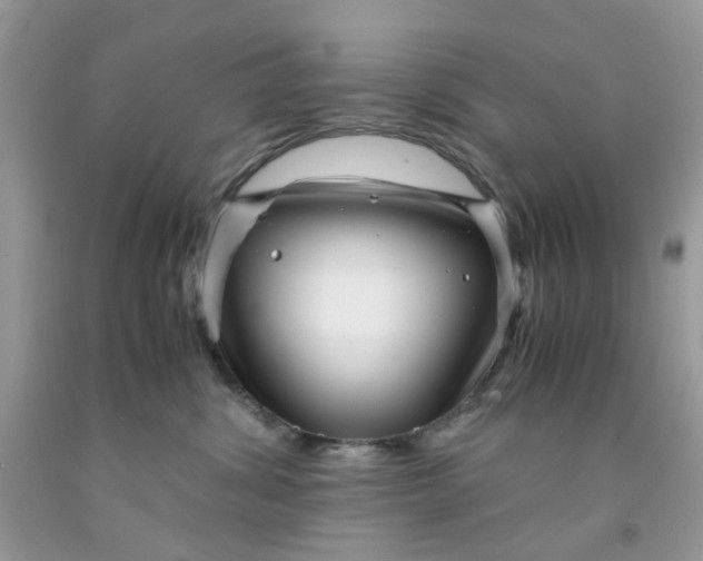 X0000091450428200709061739