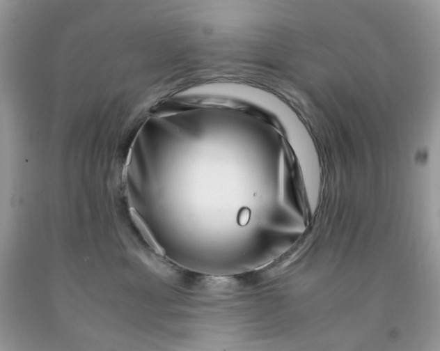 X0000091450429200709061739