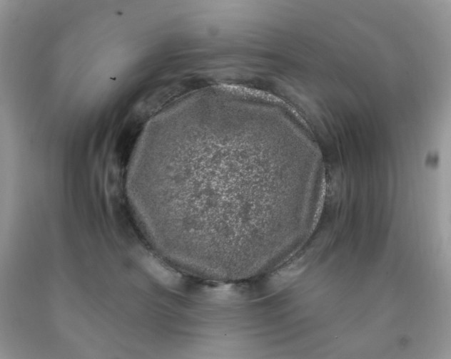 X0000091450430200709061739