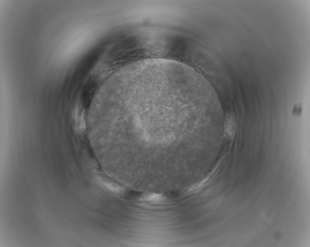 X0000091450431200709061739