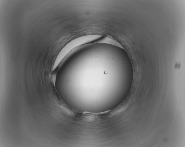 X0000091450432200709061739