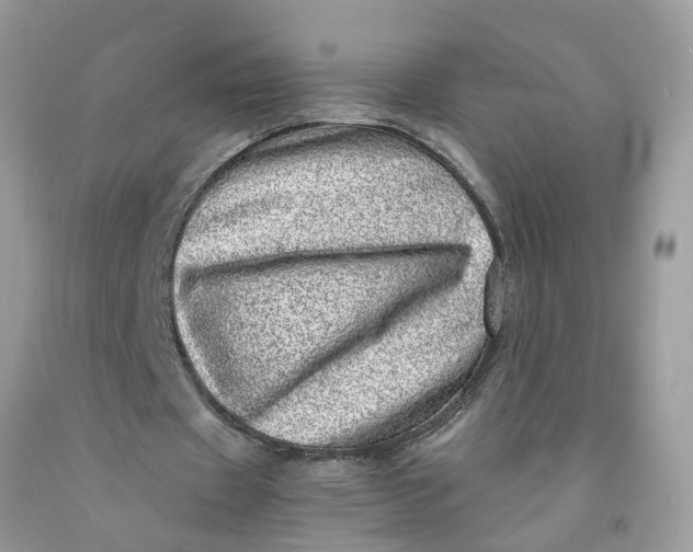 X0000091450433200709061738