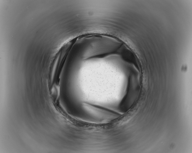 X0000091450434200709061738