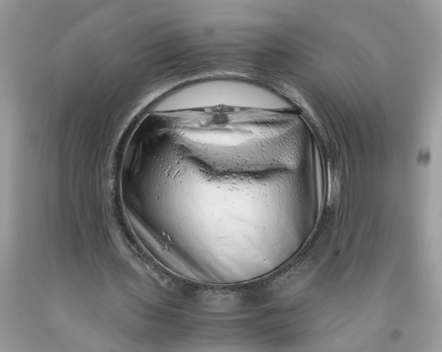 X0000091450435200709061738