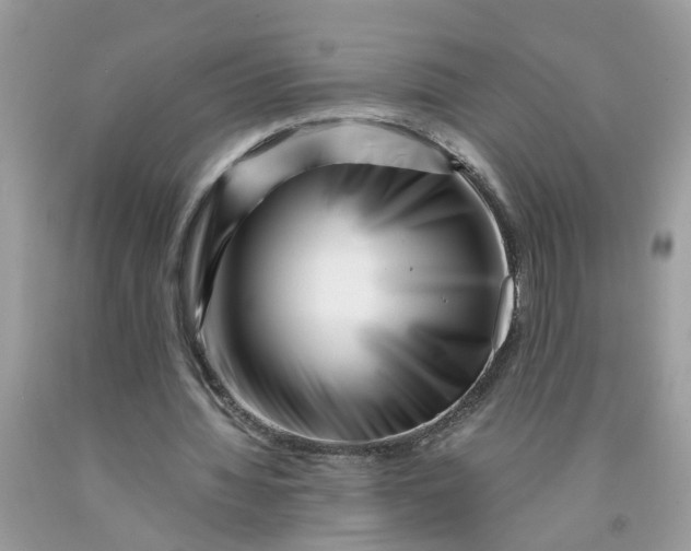 X0000091450436200709061738