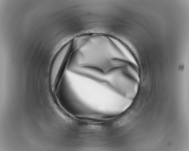 X0000091450437200709061738