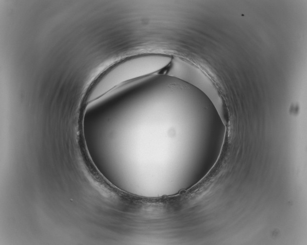 X0000091450438200709061738