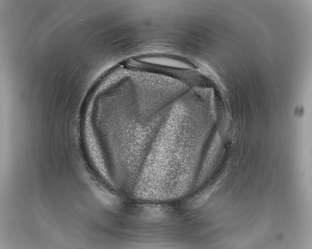 X0000091450439200709061738