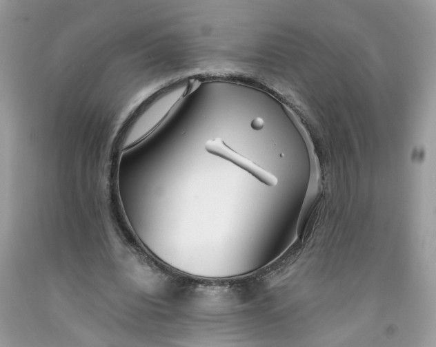 X0000091450440200709061738