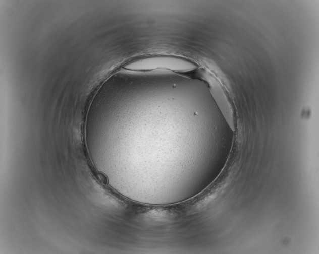 X0000091450441200709061738