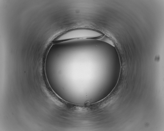 X0000091450442200709061738