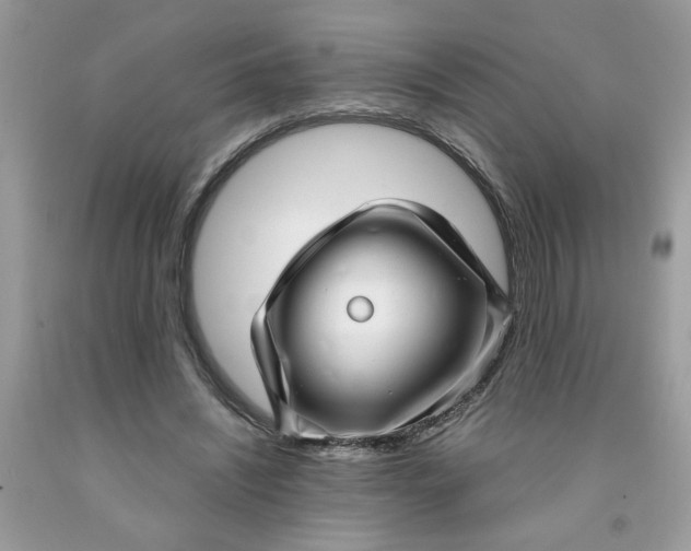 X0000091450444200709061738