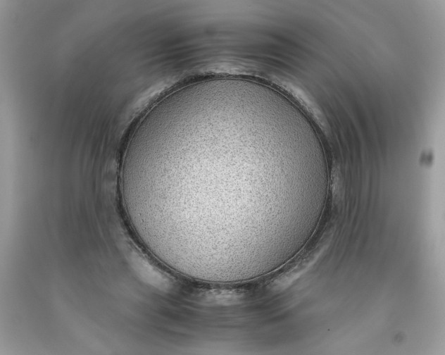 X0000091450445200709061738