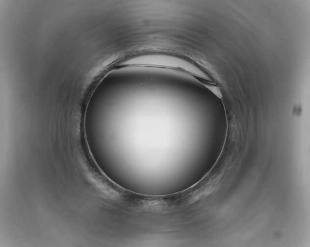 X0000091450446200709061738