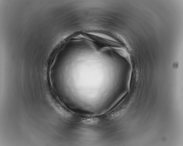 X0000091450447200709061738