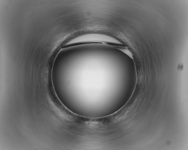 X0000091450448200709061738