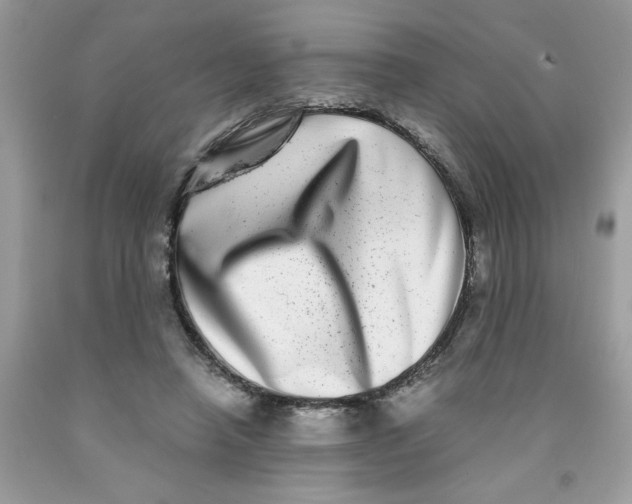 X0000091450450200709061738