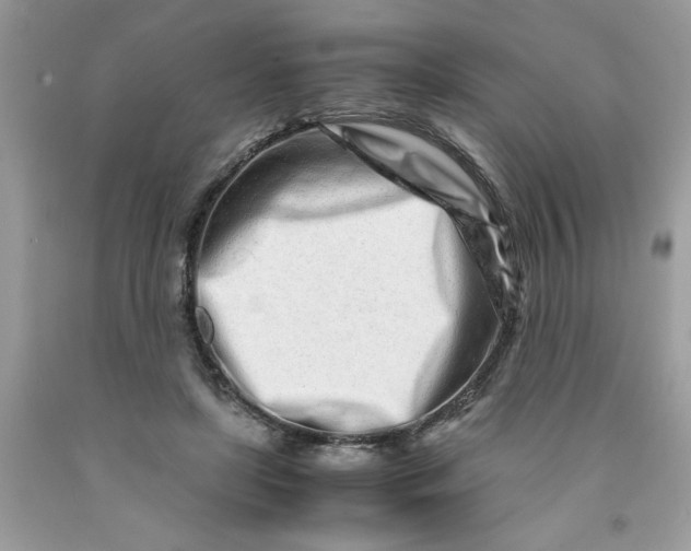 X0000091450451200709061738