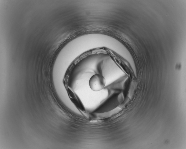 X0000091450452200709061738