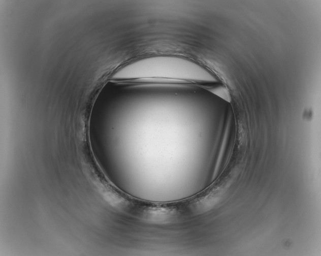 X0000091450453200709061738