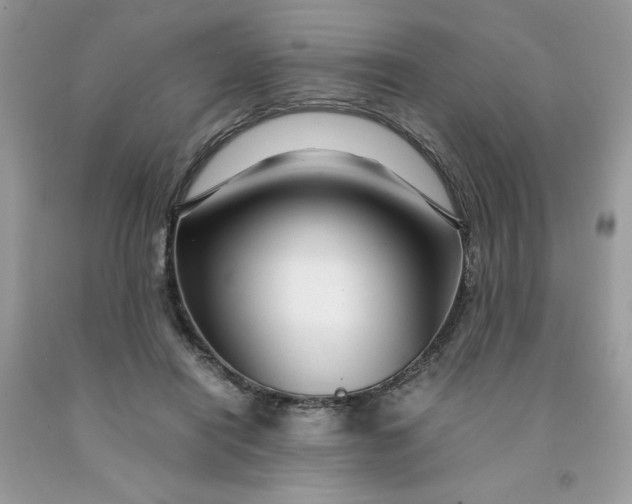 X0000091450454200709061738