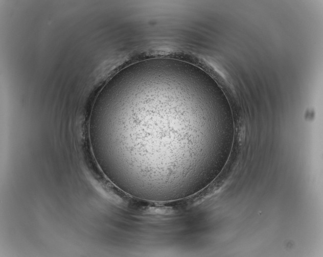 X0000091450455200709061738