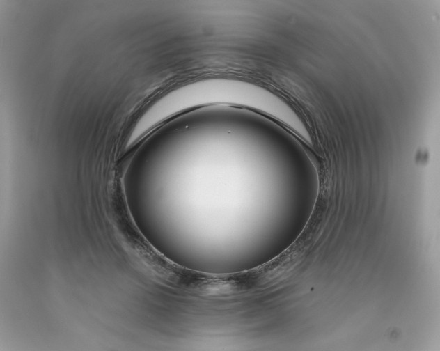 X0000091450456200709061738