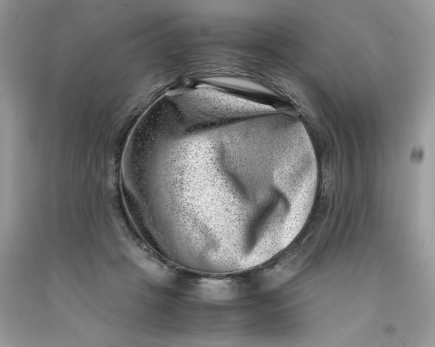 X0000091450457200709061738