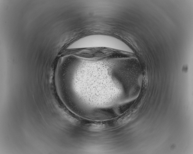 X0000091450458200709061738