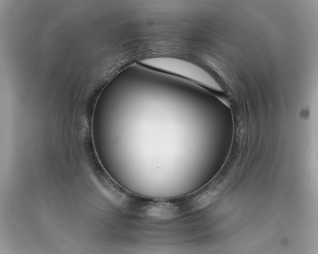 X0000091450459200709061738