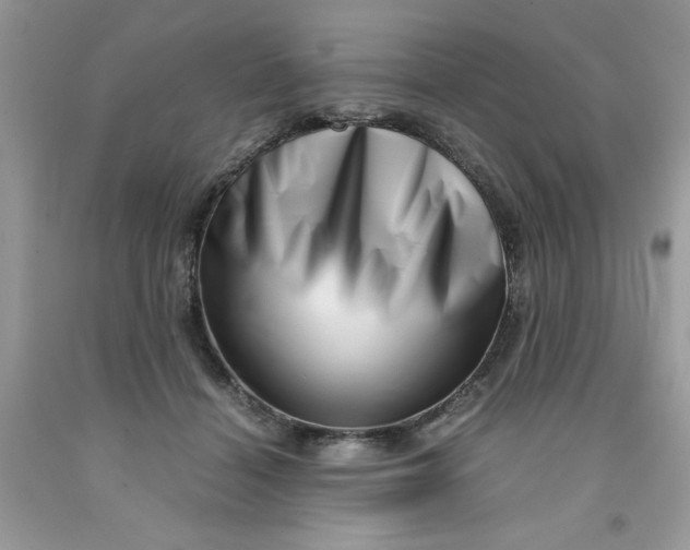 X0000091450460200709061738