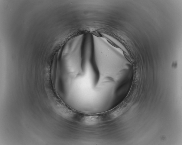 X0000091450461200709061738