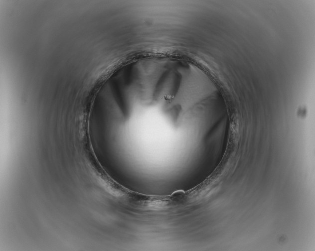 X0000091450462200709061738