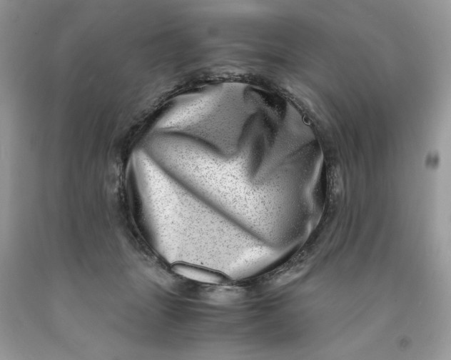 X0000091450463200709061738