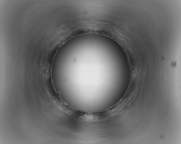 X0000091450464200709061738