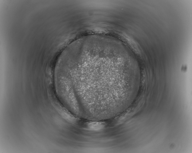 X0000091450465200709061738