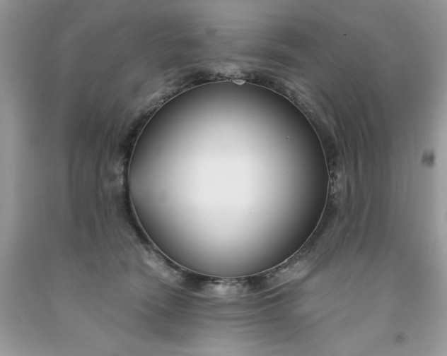 X0000091450466200709061738