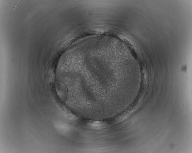 X0000091450467200709061738