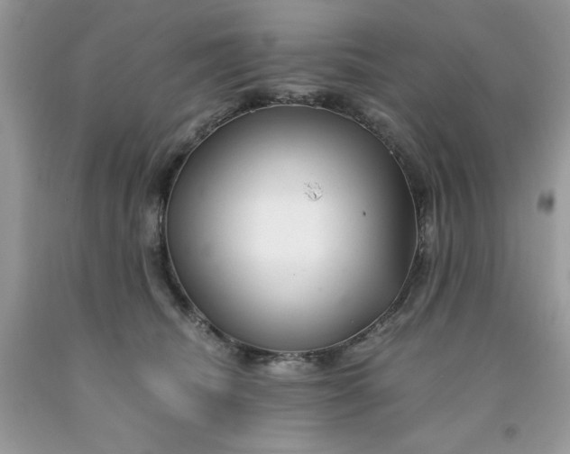 X0000091450468200709061738