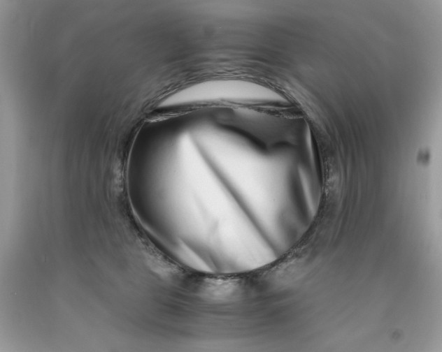 X0000091450469200709061738