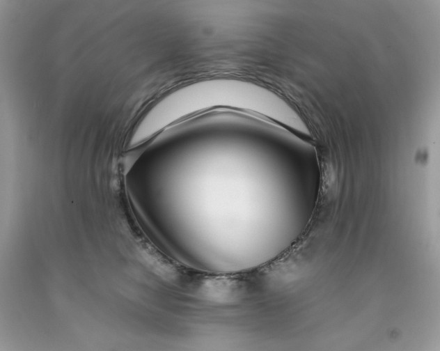 X0000091450470200709061738