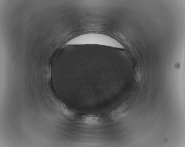 X0000091450471200709061738